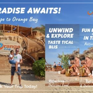 orange bay - Image 2